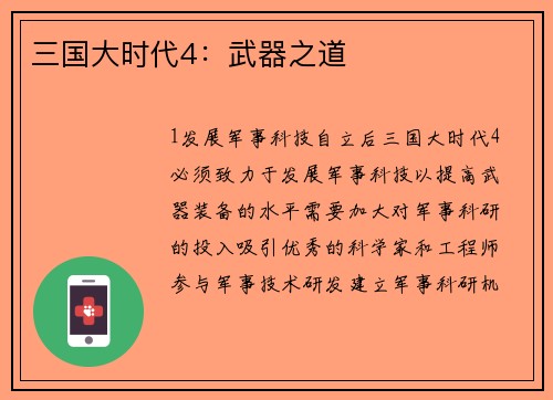 三国大时代4：武器之道